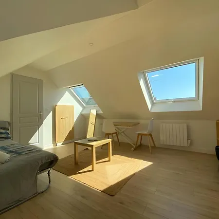 Apartment L'incroyable - Centre - 4pers - Reve Au Mans *